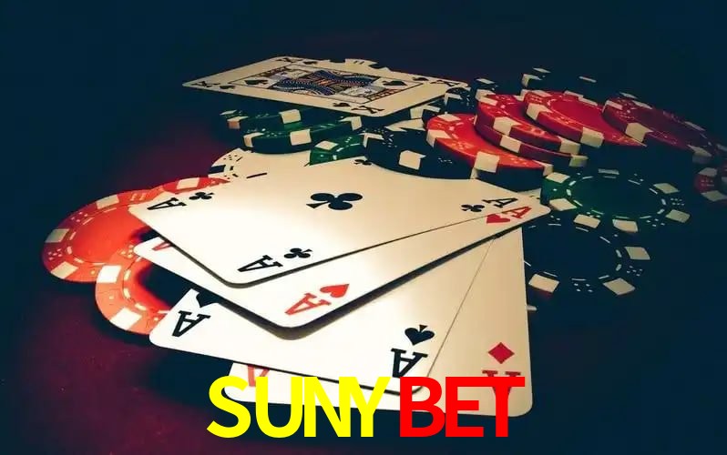 SUNYBET visual 2
